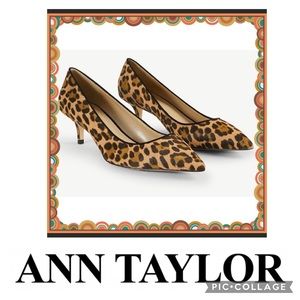 Ann Taylor 2 1/2” heel pulps made from calf hair. Size 6. BNWOB.